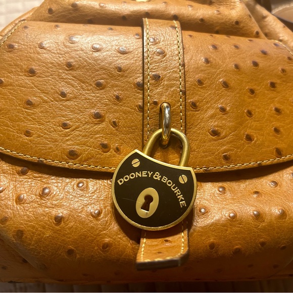 Dooney&Bourke lizard skin handbag.Gently used the inside of the bag is stained. - Picture 3 of 4